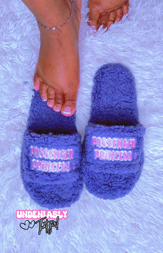 Passenger Princess Preorder