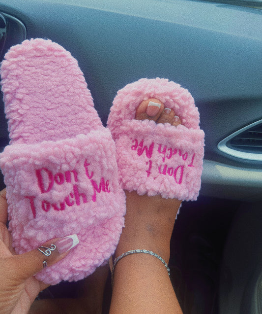 Don’t Touch Me Slides