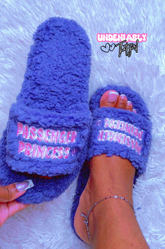 Passenger Princess Preorder